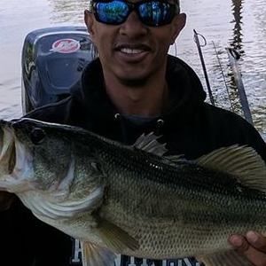 Meet your Posher, William